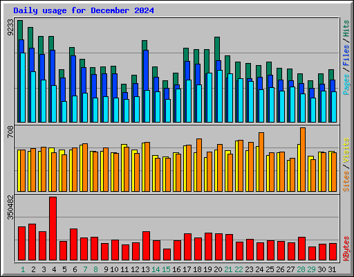 Daily usage for December 2024