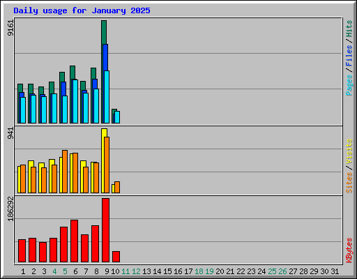 Daily usage for January 2025