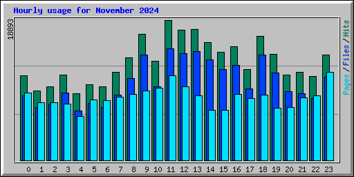 Hourly usage for November 2024