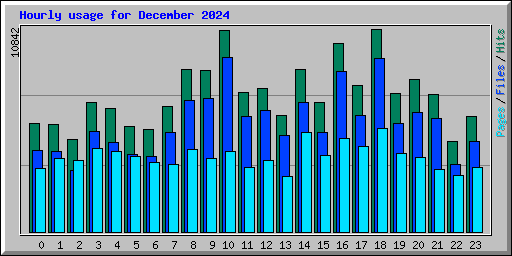 Hourly usage for December 2024