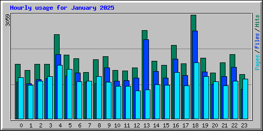 Hourly usage for January 2025